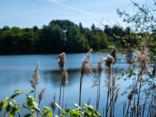 Lire la suite à propos de l’article Sortie à la base de Sorgues