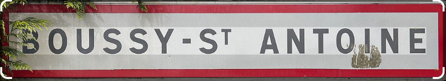 Lire la suite à propos de l’article Sortie à Boussy Saint Antoine